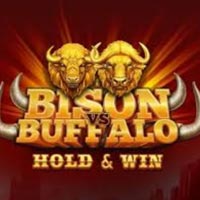 X8 Gaming - Bison vs Buffalo | best online