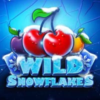 X8 Gaming - Wild Snowflakes | slot online