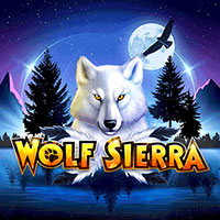 X8 Gaming - Wolf Sierra | best online