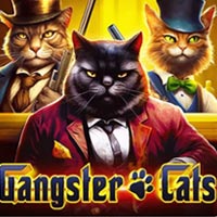 X8 Gaming - Gangster Cats | slot online