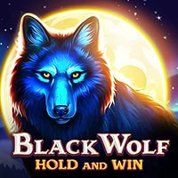 X8 Gaming - Black Wolf | slot online