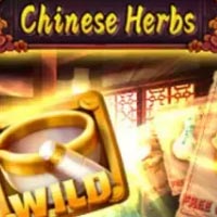 X8 Gaming - Chinese Herbs | slot online