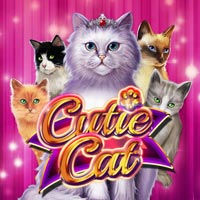 X8 Gaming - Cutie Cat | slot online