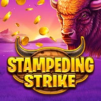 X8 Gaming - Stampeding Strike | slot online