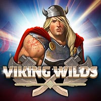 X8 Gaming - Viking Wilds | slot online