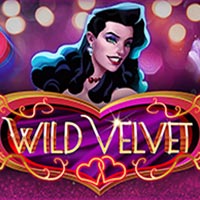 X8 Gaming - Wild Velvet | slot online