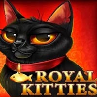 X8 Gaming - Royal Kitties | slot online