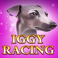 X8 Gaming - Iggy Racing | slot online