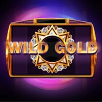 X8 Gaming - Wild Gold | slot online