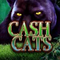 X8 Gaming - Cash Cats | slot online