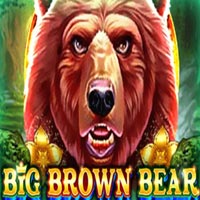 X8 Gaming - Big Brown Bear | slot online