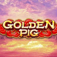 X8 Gaming - Golden Pig | best online