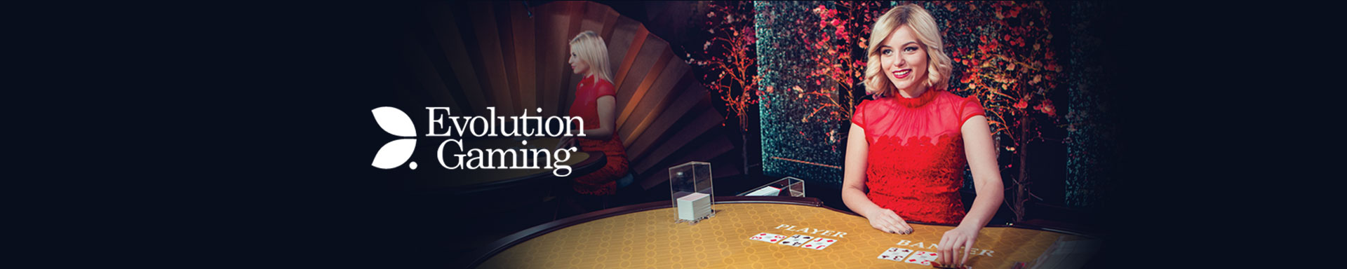 Banner EVOLUTIONCASINO