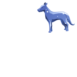 Shio dog